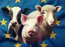 Style photographique, une vache, un cochon, un mouton, sur fond de drapeau européen