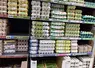 rayon oeuf en supermarché