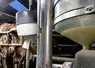 traite du lait de vache à la ferme