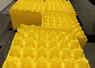alvéole plastique pour les oeufs 