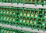 oeufs dans des alvéoles plastiques dans un centre