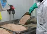poudre de coquille d'oeuf dans une usine