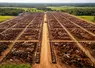 Terrains de stockage et troupeaux au Brésil
