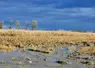 Inondation d'une parcelle de maïs ciel orageux