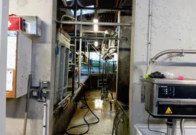 Salle de traite dans une ferme laitière