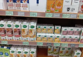 rayon lait végétal en magasin bio