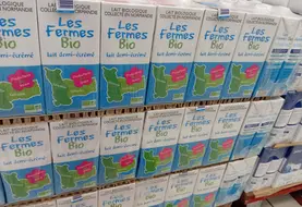 palette de packs de lait bio