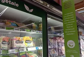 Rayon des alternatives végétales à la viande