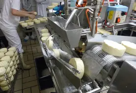fabrication de camembert en usine