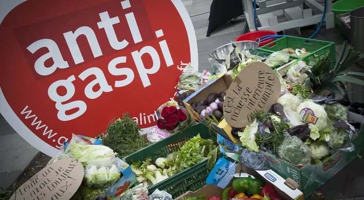 Gaspillage alimentaire