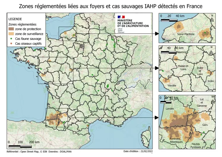 À la date du 28 février 2022, la France compte 374 foyers d’influenza aviaire hautement pathogène (IAHP) en élevage, 34 cas en faune sauvage et 17 cas en basse-cours.