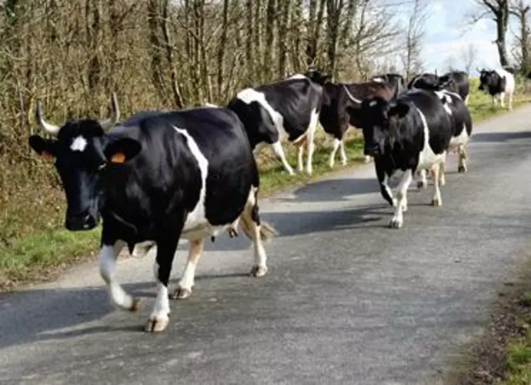 L'Union Bretonne Pie-Noir
a fêté les 40 ans du plan
de sauvegarde