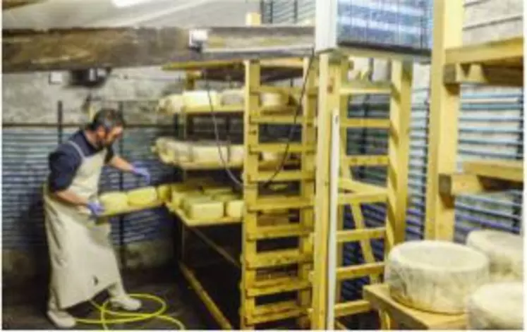 La cave à fromage