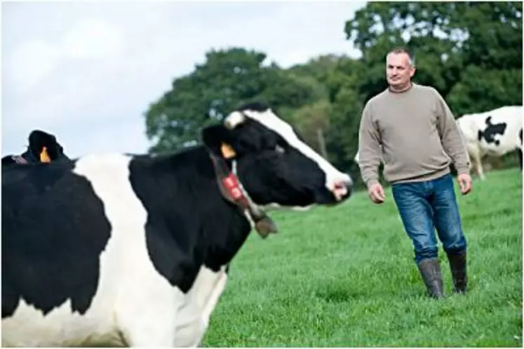 Vache et éleveur