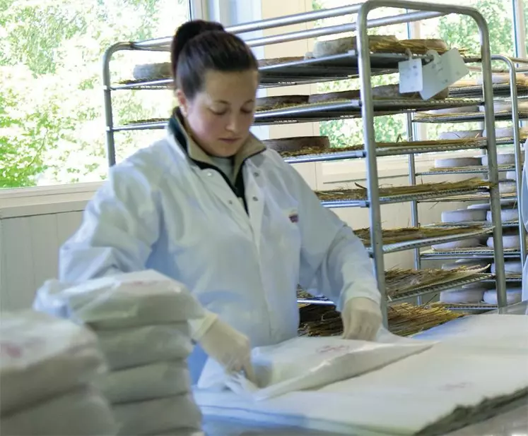 À côté des filières comté et beaufort qui peaufinent leur demande de gestion de l'offre qu'elles présenteront cet automne, les filières saint-nectaire et reblochon mettent
en place un début de régulation.