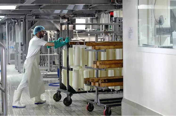 La coopérative fabrique une large gamme de
fromages : provolone, ricotta, mozzarella…