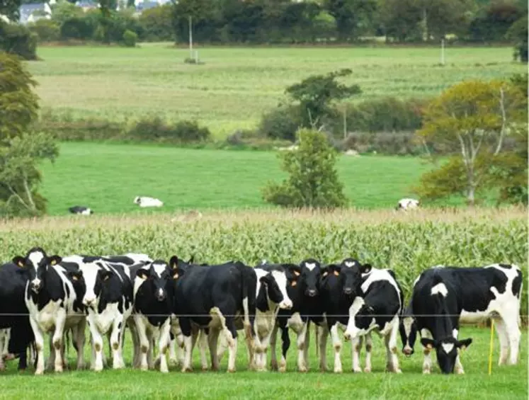 L’objectif de la gouvernance des quotas par bassin est d’optimiser les références individuelles des producteurs pour rendre les exploitations plus compétitives tout en préservant la structuration propre aux territoires.