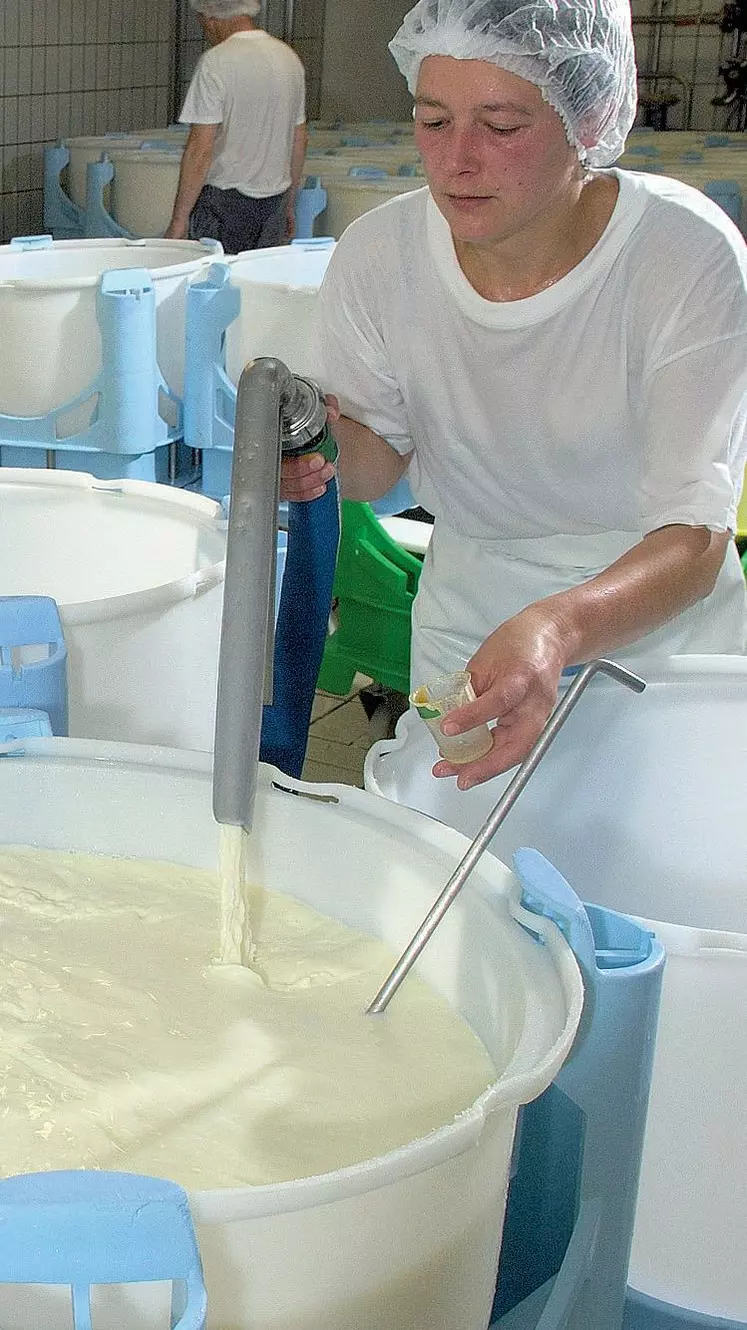 Les fabricants de fromage traquent les STEC depuis la ferme jusqu’à la cave d’affinage, (ci-dessus fabrication de camemberts au lait cru à la laiterie-fromagerie du Val d’Ay).