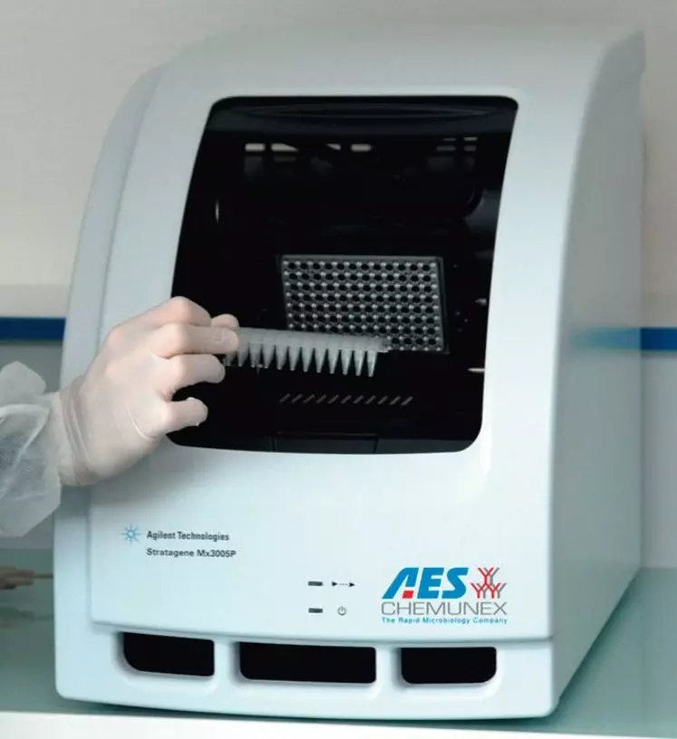 AES annonce l'arrivée d'un test prêt à l'emploi de recherche par PCR des 5 sérogroupes majeurs.