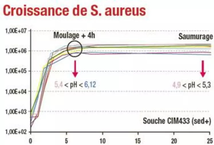 La croissance de S. aureus est exponentielle au cours des premières heures quels que soient les paramètres de fabrication. En revanche, l’induction du gène de l’entérotoxine est fonction des paramètres de maturation du lait, notamment la température.