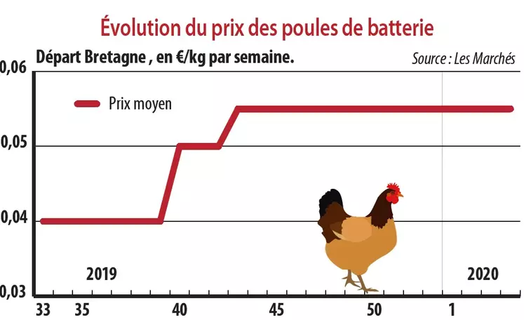 cotation poules de batterie