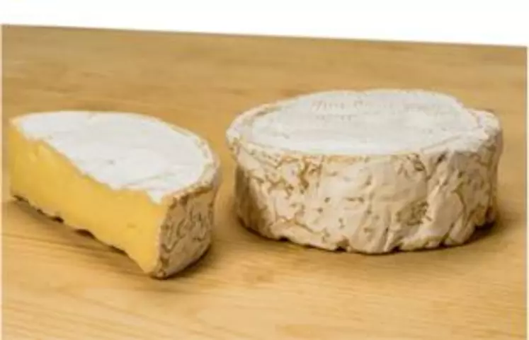 Le blocage des fromages type camembert
et bleu n’est pas lié à un problème sanitaire
ni à une forme de protectionnisme mais
à une réglementation inadaptée en cours
de révision.