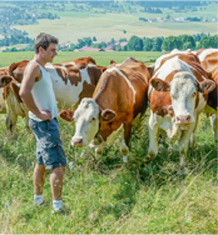 Les d’indicateurs d’évaluation du
bien-être animal, élaborés au sein
d’un groupe interprofessionnel,
seront mis à l’épreuve du terrain.