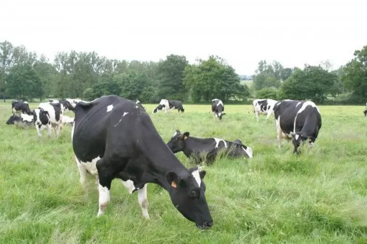 Si elle veut produire 
6 milliards de litres
de lait à l’horizon de 2020, 
la Bretagne devra améliorer
l’efficacité économique de
ses systèmes.