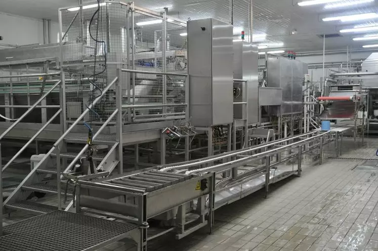 L’atelier de fabrication
des bleus de la Société
fromagère de Rodez. Sept
types de pâtes persillées
y sont fabriquées.