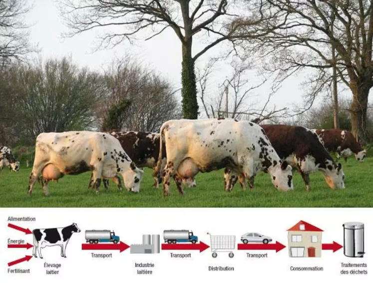 Cycle de vie d'un produit laitier. Pour calculer les émissions de gaz à effet de serre du lait et des produits laitiers, les experts s'appuient sur l'analyse du cycle de la vie du berceu à la porte de la ferme, au portail de l'usine ou jusqu'à la fin de vie de l'emballage.