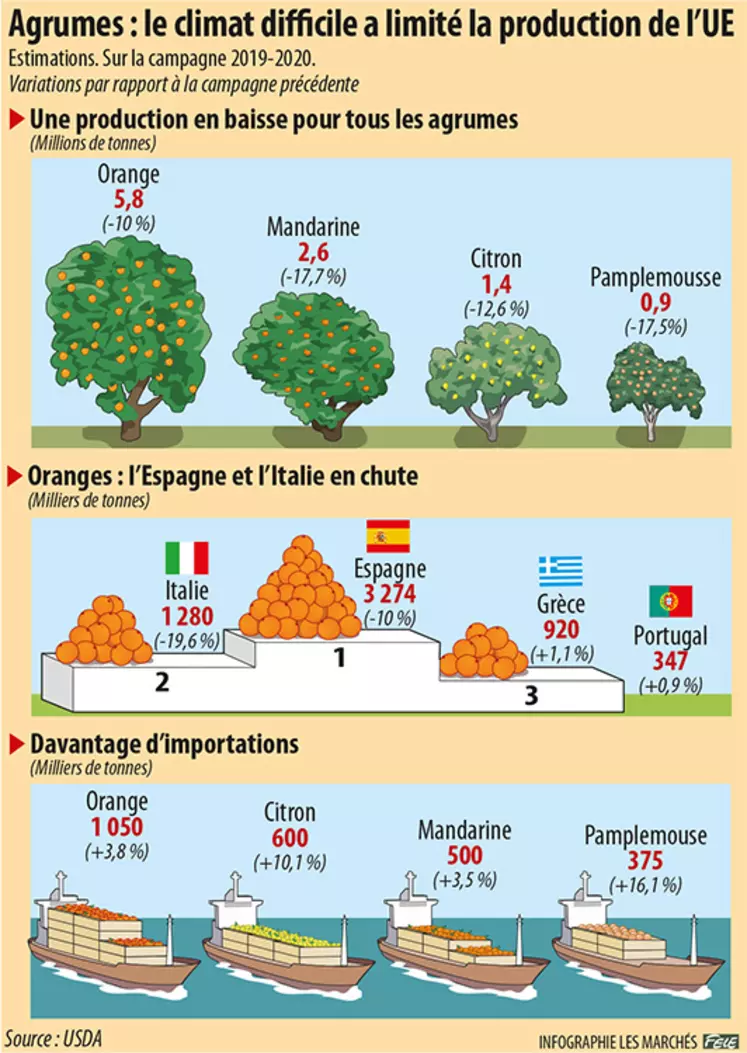 Production européenne d'agrumes