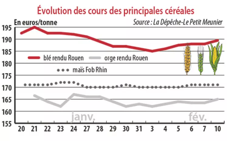 Evolution des cours des principales céréales