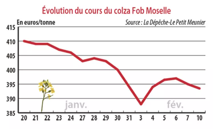 Evolution des cours du colza