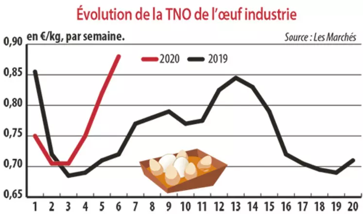 Evolution de la TNO de l'oeuf industrie