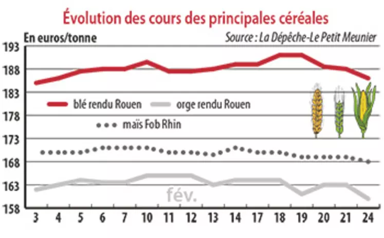 Évolution des cours des principales céréales