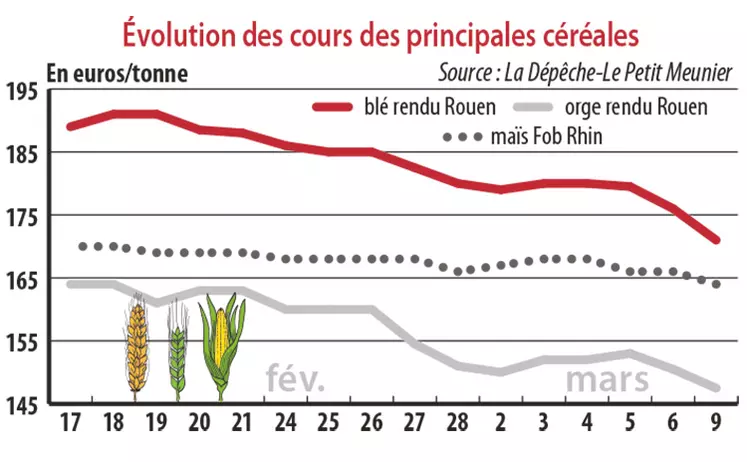 Evolution des cours des principales céréales