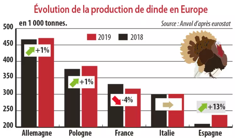 Evolution de la production de dinde en Europe