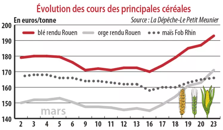 Evolution des cours des principales céréales