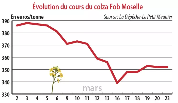 Evolution des cours du colza