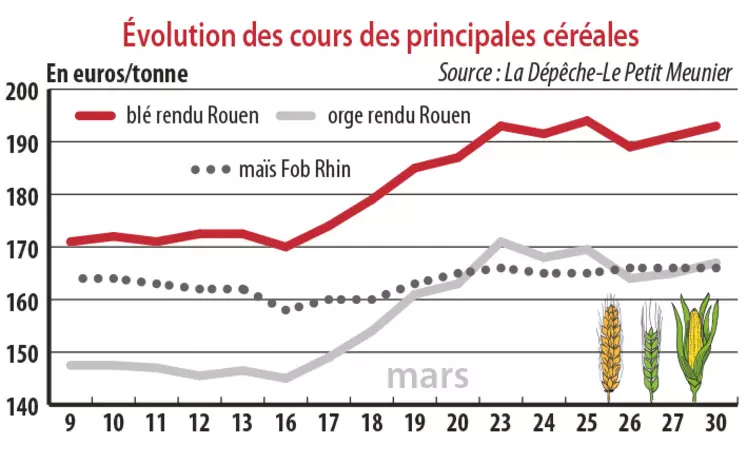 Evolution des cours des principales céréales