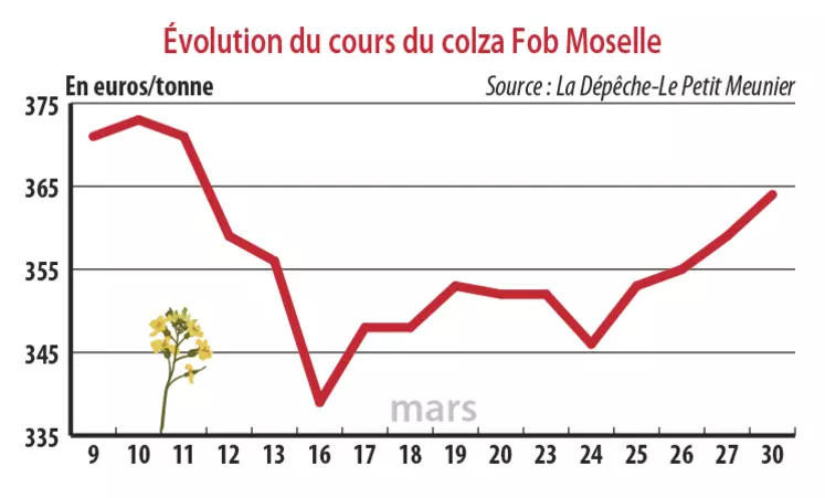 Evolution des cours du colza