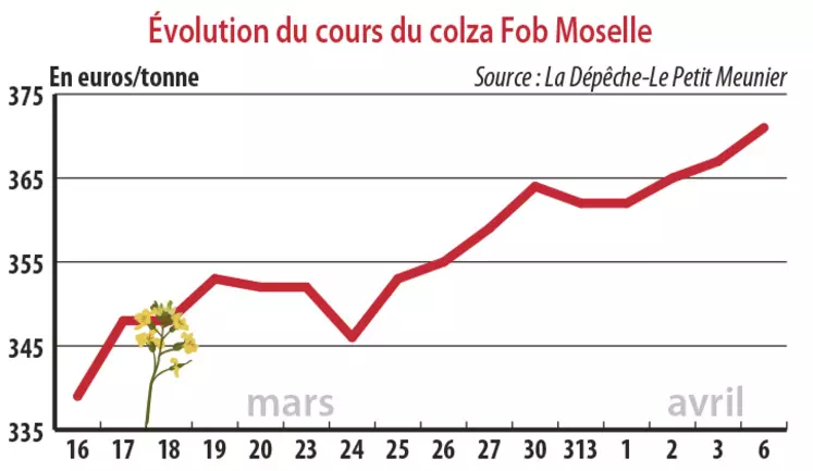 Evolution des cours du colza