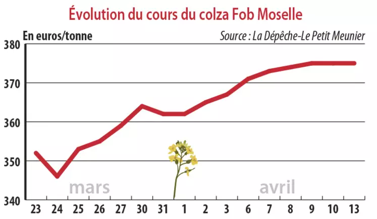 Evolution des cours du colza