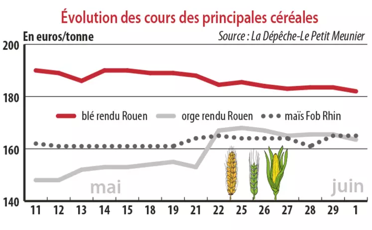 Evolution des cours des principales céréales