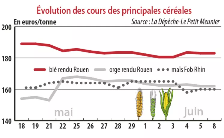 Evolution des cours des principales céréales