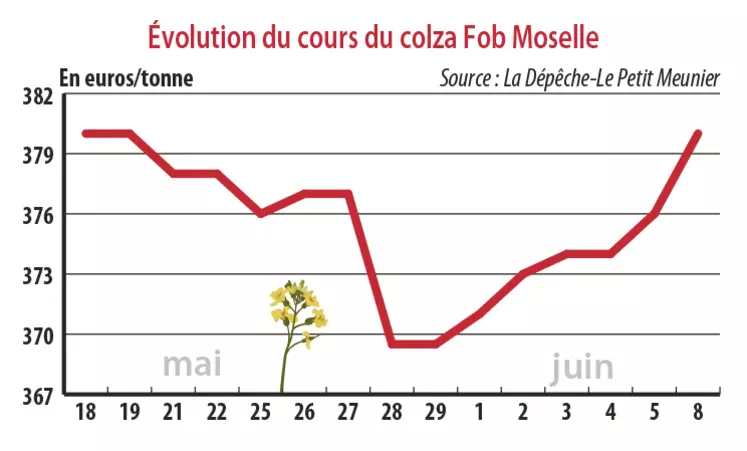 Evolution des cours du colza