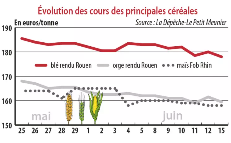 Evolution des cours des principales céréales