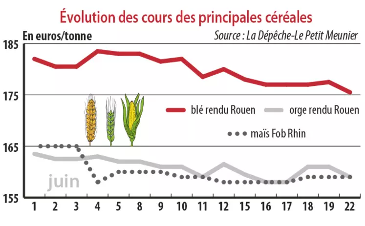 Evolution des cours des principales céréales