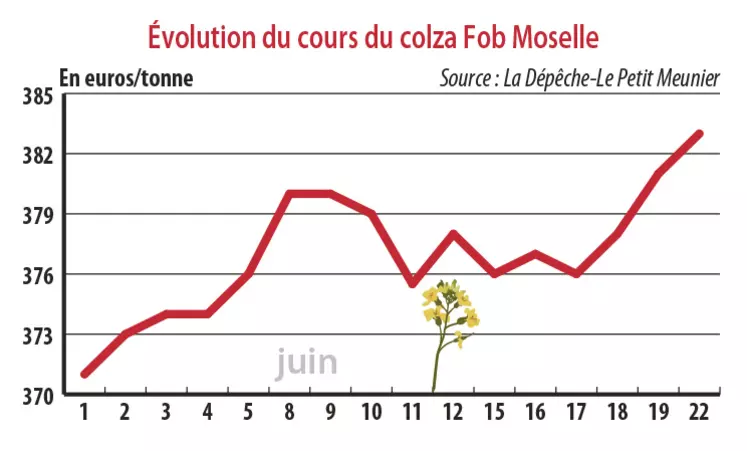 Evolution des cours du colza