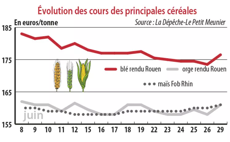 Evolution des cours des principales céréales